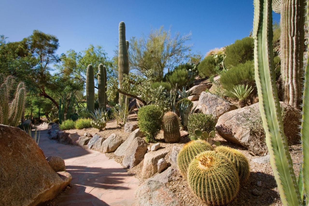 The Canyon Suites At The Phoenician, A Luxury Collection Resort, Scottsdale Paradise Valley Zewnętrze zdjęcie
